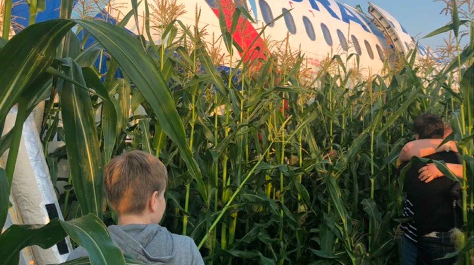 Дети сажают самолет. А321 Уральские авиалинии кукурузное поле. Уральские авиалинии кукурузное поле. Аэробус а321 в кукурузном поле. А321 Уральские авиалинии кукурузное поле блогер.