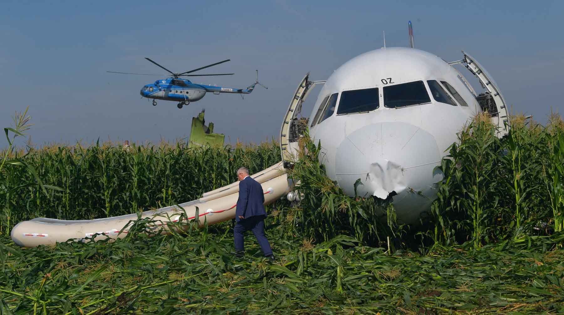 Ранее в Росприроднадзоре подтвердили наличие несанкционированной свалки в Подмосковье неподалеку от аварийной посадки A321 Фото: © GLOBAL LOOK press / Komsomolskaya Pravda