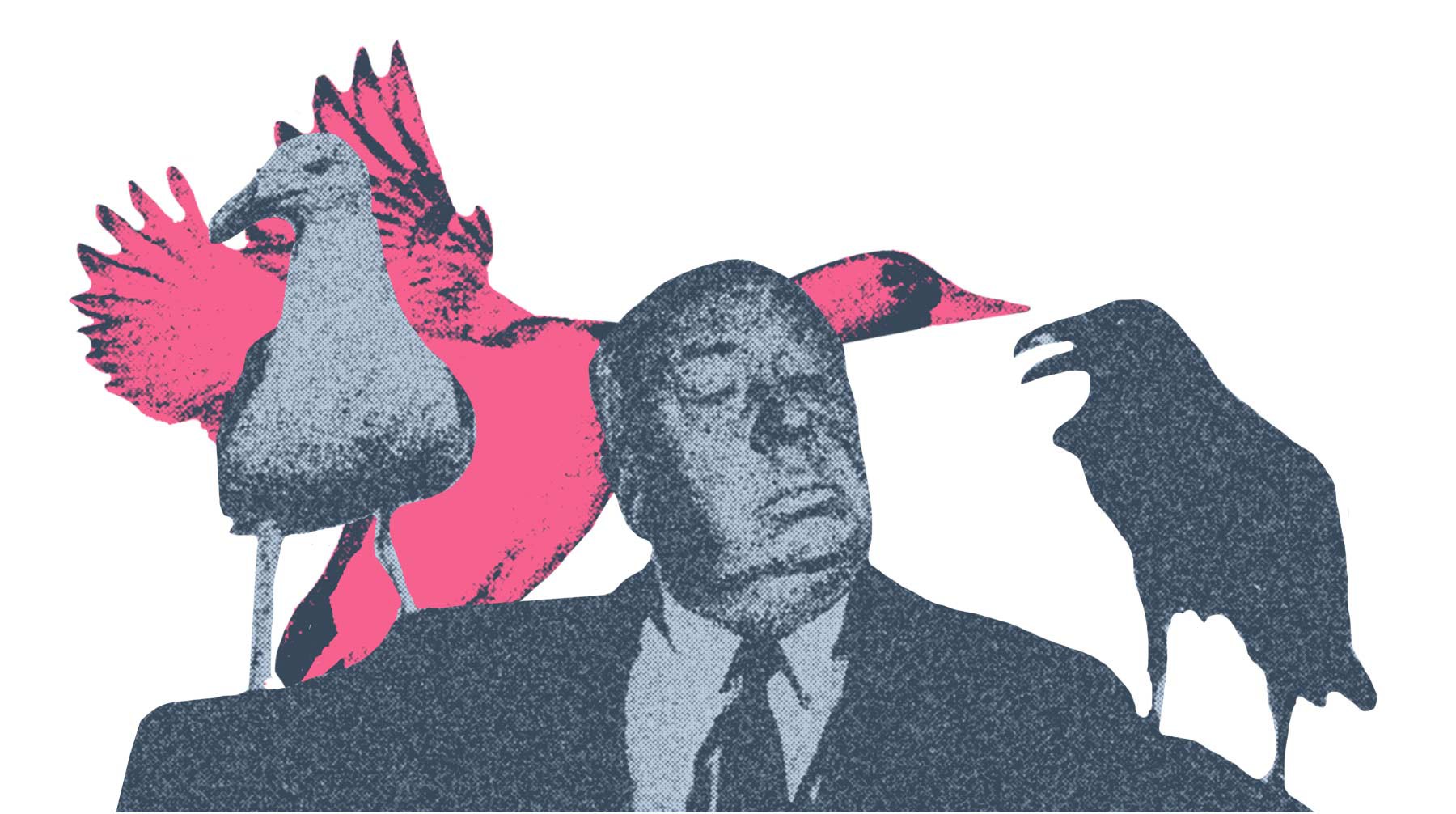 Dailystorm - «Мосприрода» призвала горожан не кормить перелетных птиц, но не объяснила, как их распознать