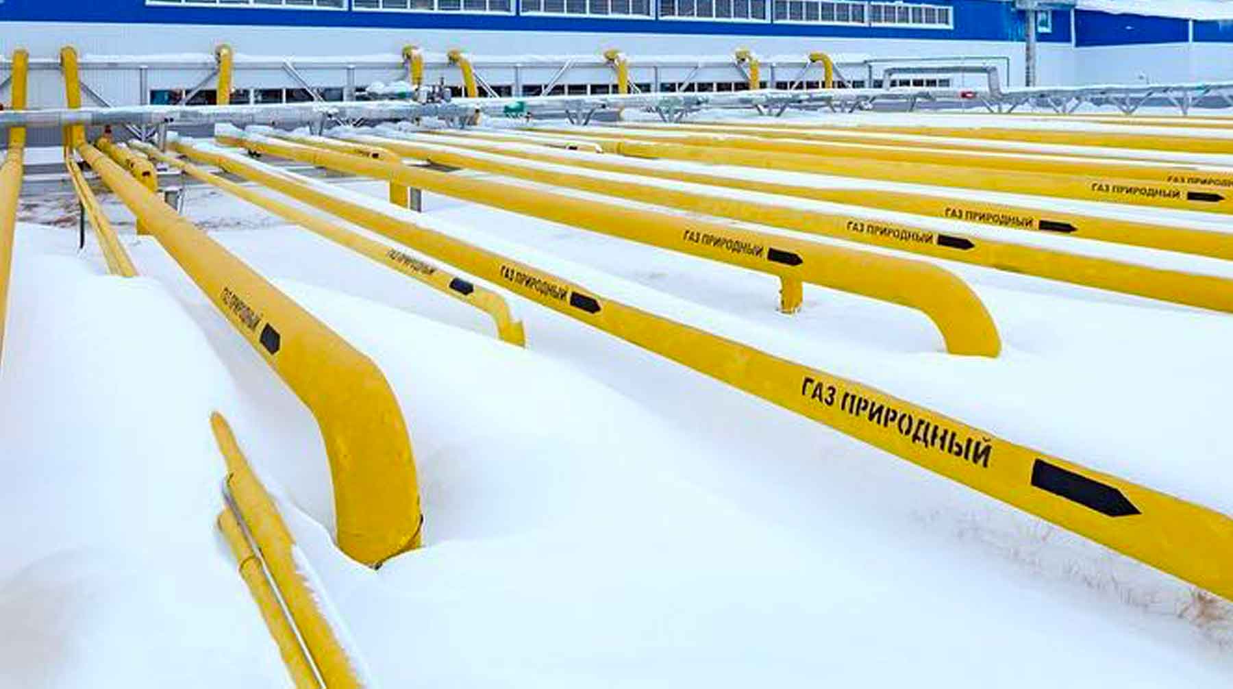 К этому «Газпром» обяжут контрактные обязательства, считает замглавы Нацбанка Украины Дмитрий Сологуб Фото: © GLOBAL LOOK press / Gazprom