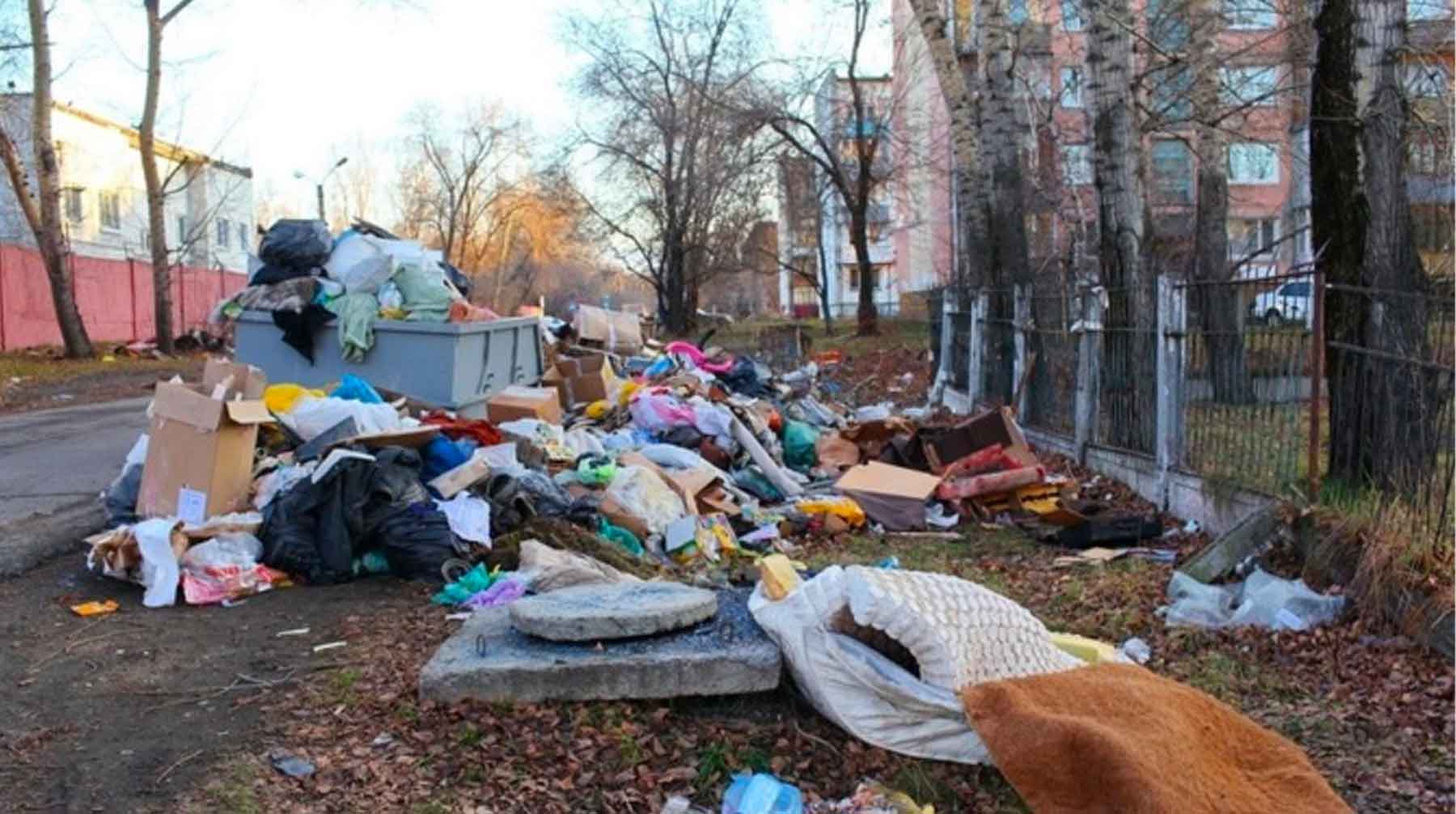 Чрезвычайная ситуация существует из-за накопившихся в городе коммунальных отходов Фото: © «Бийский Рабочий»
