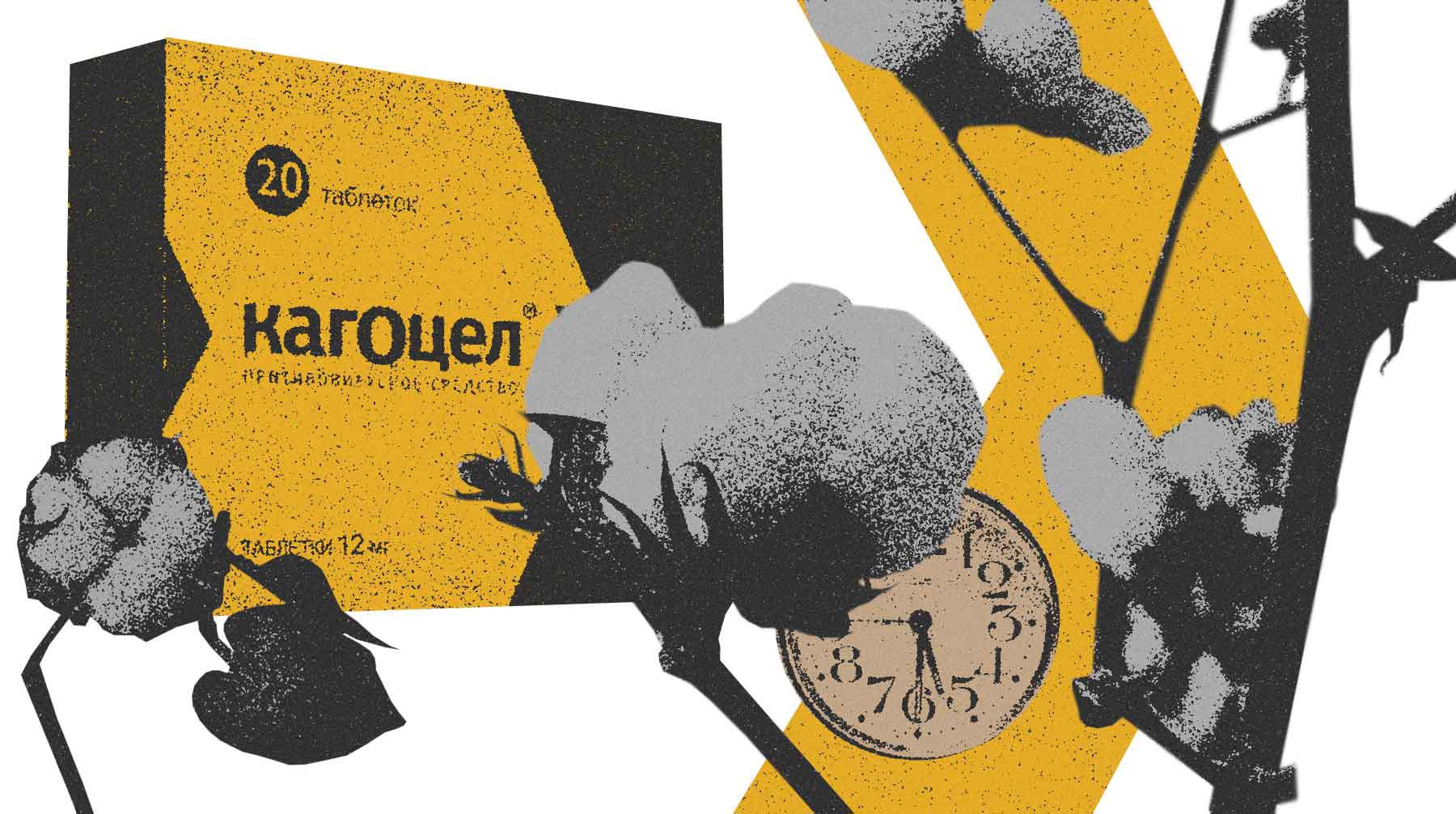 Госсипол В Кагоцеле – Telegraph