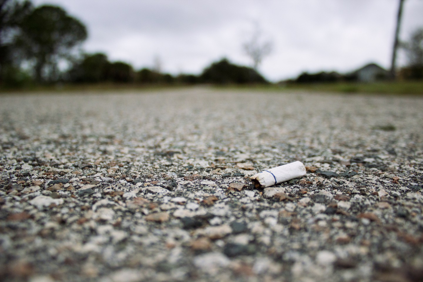 Фото: © pxhere.com