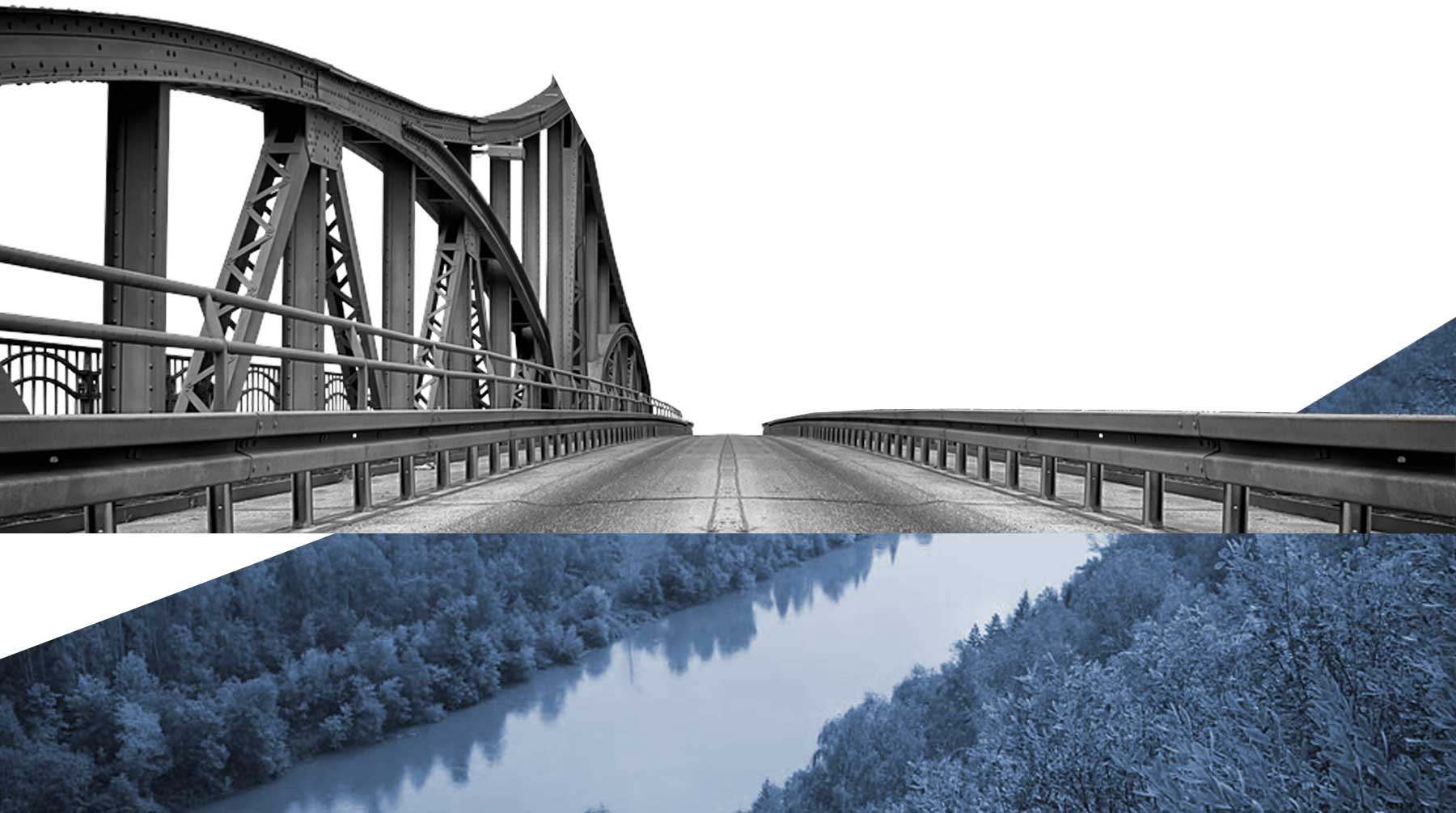 По словам политика, когда через два года у строителей моста через Лену начнутся проблемы, винить в этом будут президента Коллаж: © Daily Storm