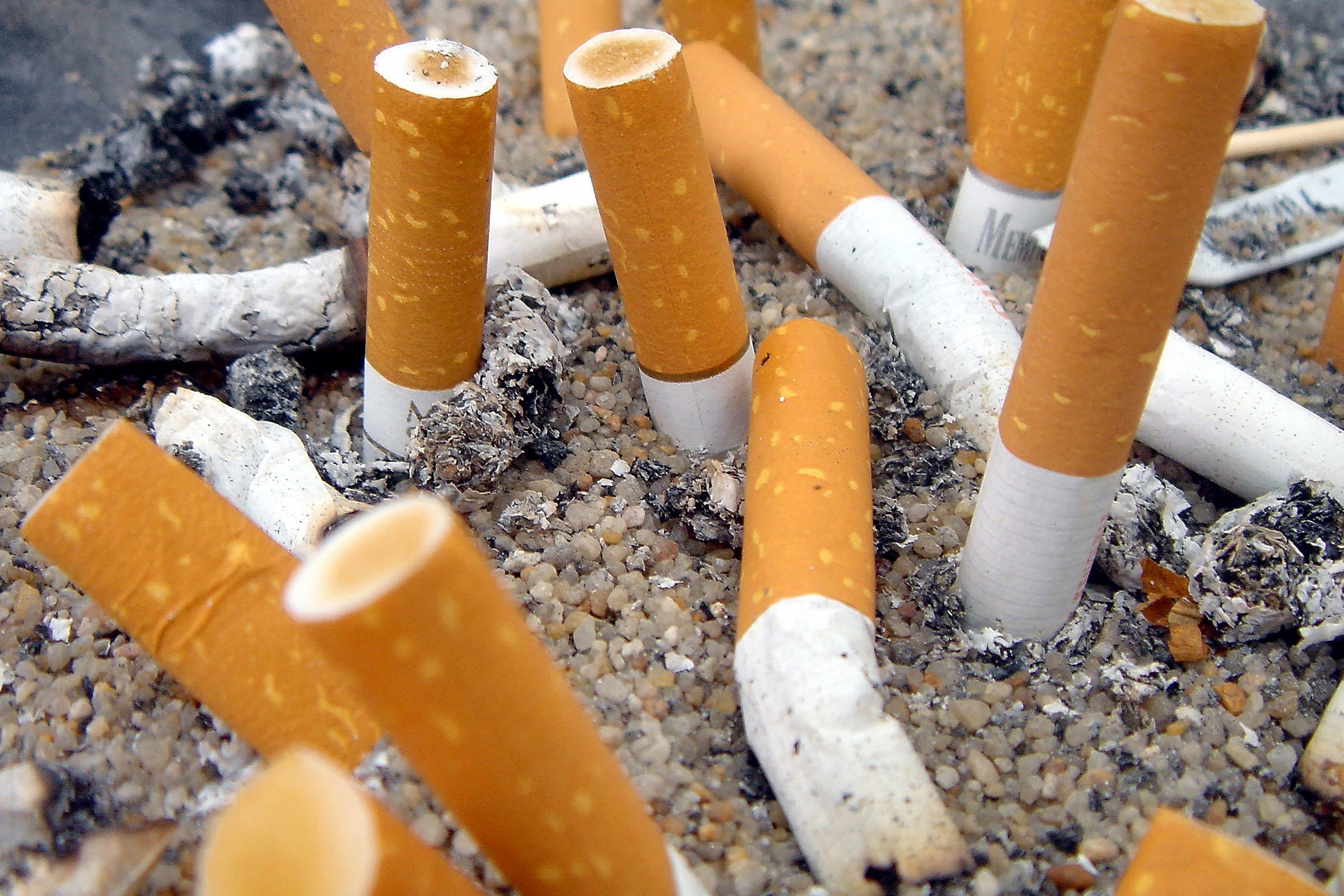 Dailystorm - Минфин РФ отказался поддержать введение единой минимальной цены на сигареты