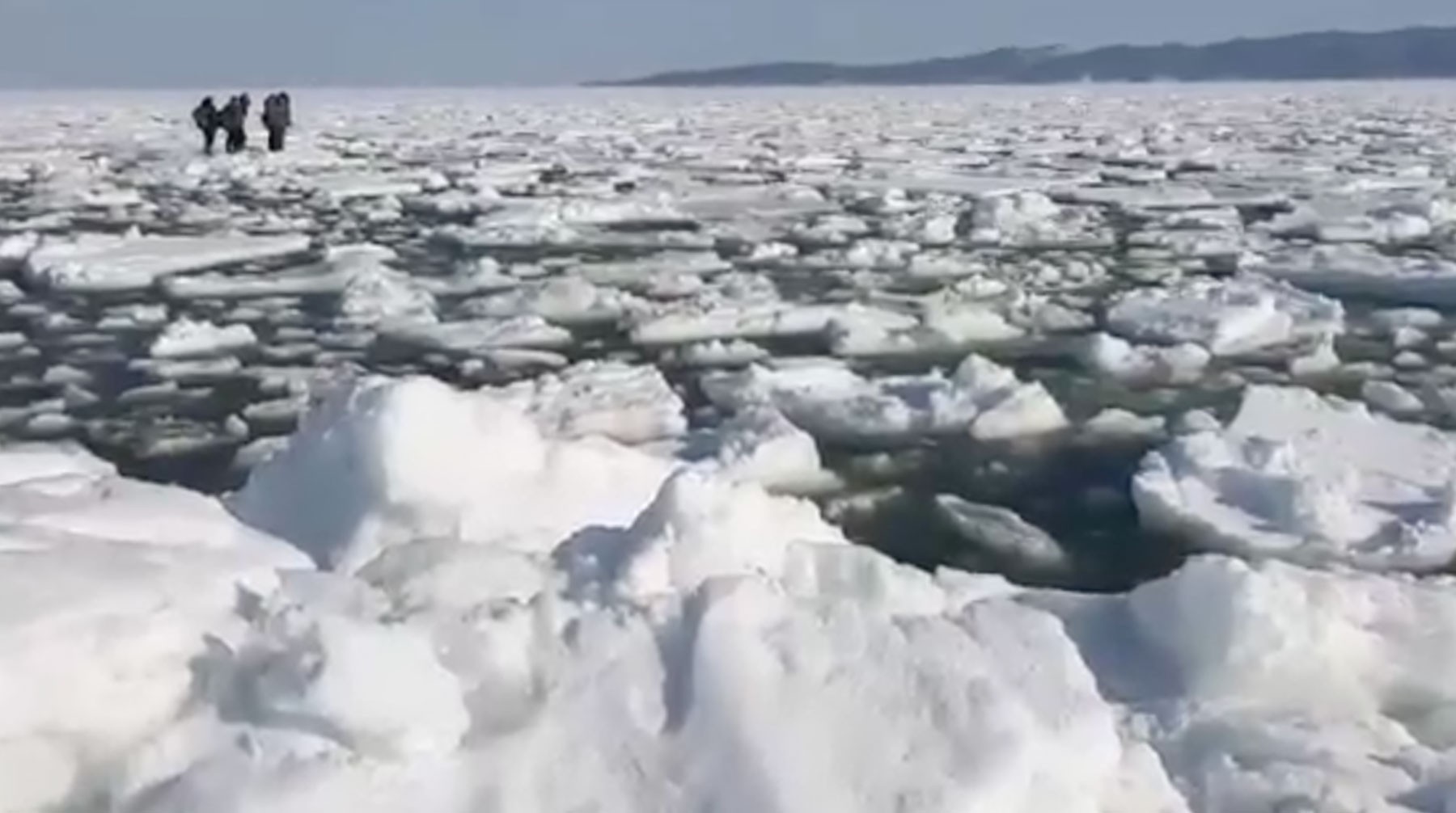 На Сахалине 230 рыбаков эвакуировали с оторвавшейся льдины — Daily Storm