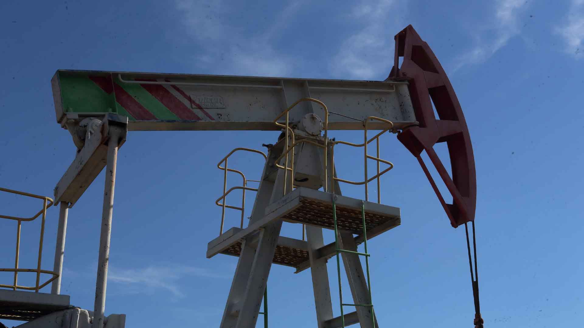 Dailystorm - Цена на нефть Brent превысила 29 долларов