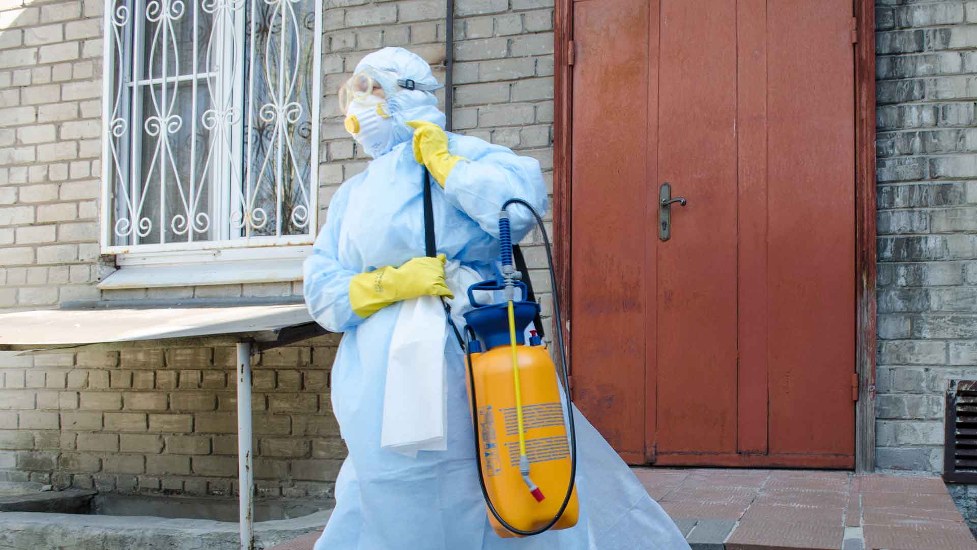 Требование касается тех, кто подозревается на наличие коронавируса или лечится дома Фото: © GLOBAL LOOK press / Alexander Rekun