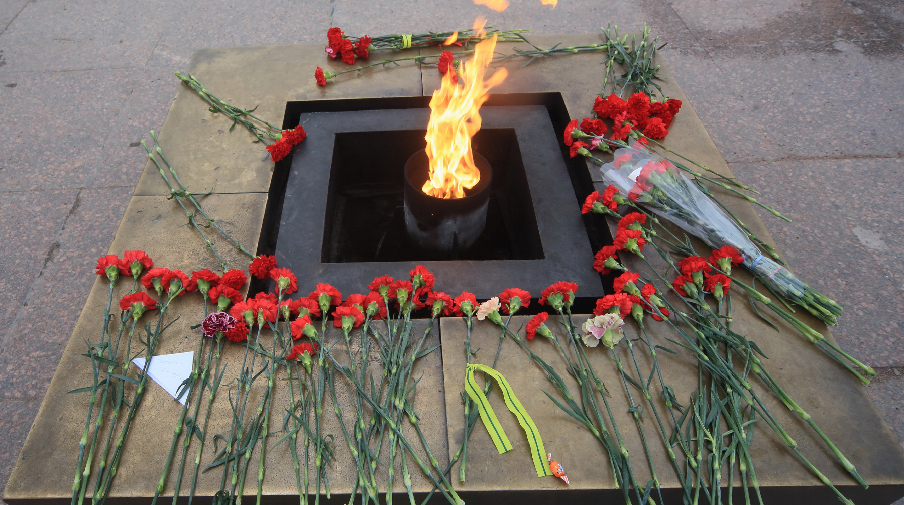 Ветеран предложил отложить на более позднюю дату шествие «Бессмертного полка» Фото: © Global Look Press / Zamir Usmanov