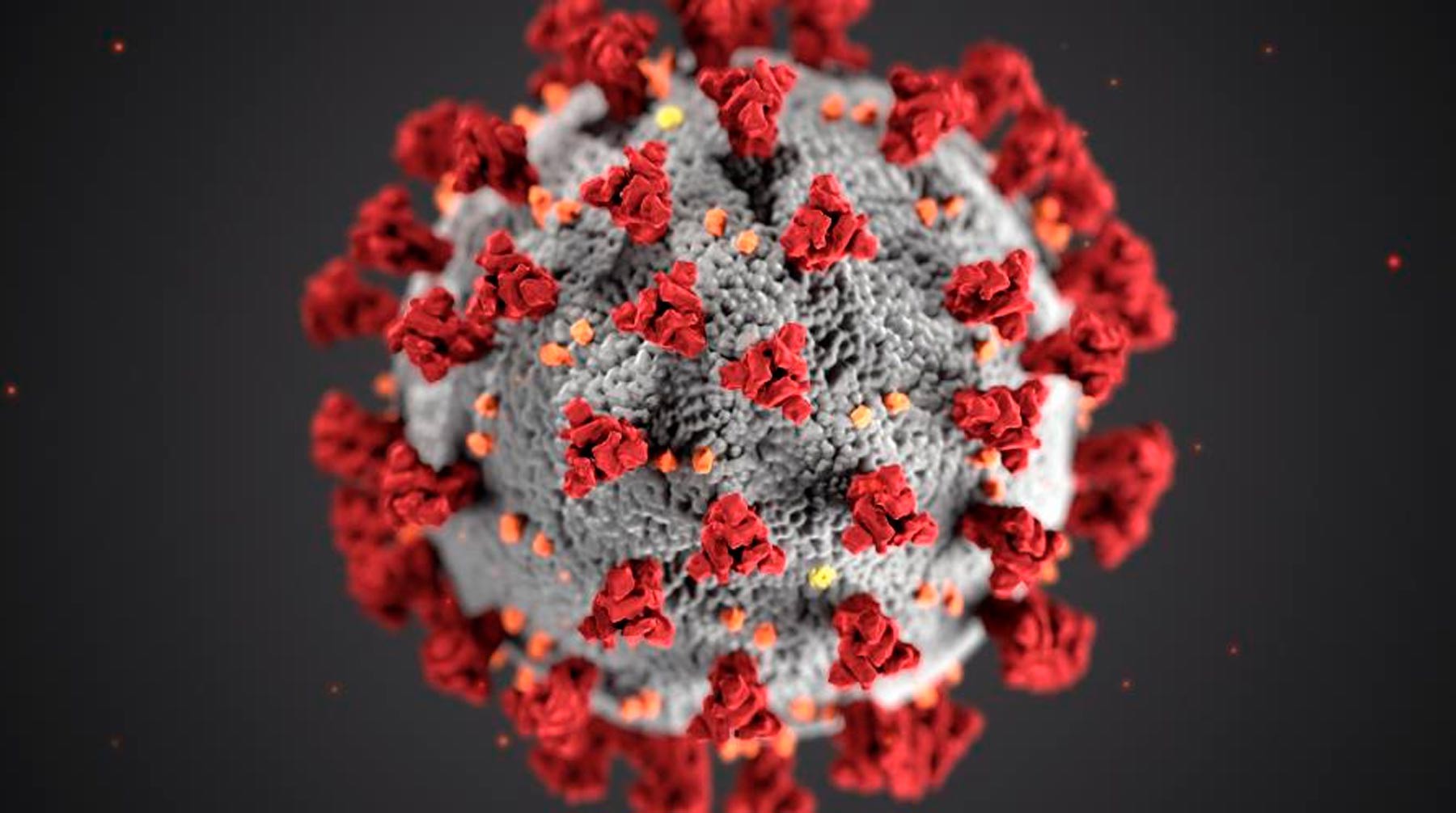 Dailystorm - Ученые из Франции определили смертельную температуру для коронавируса