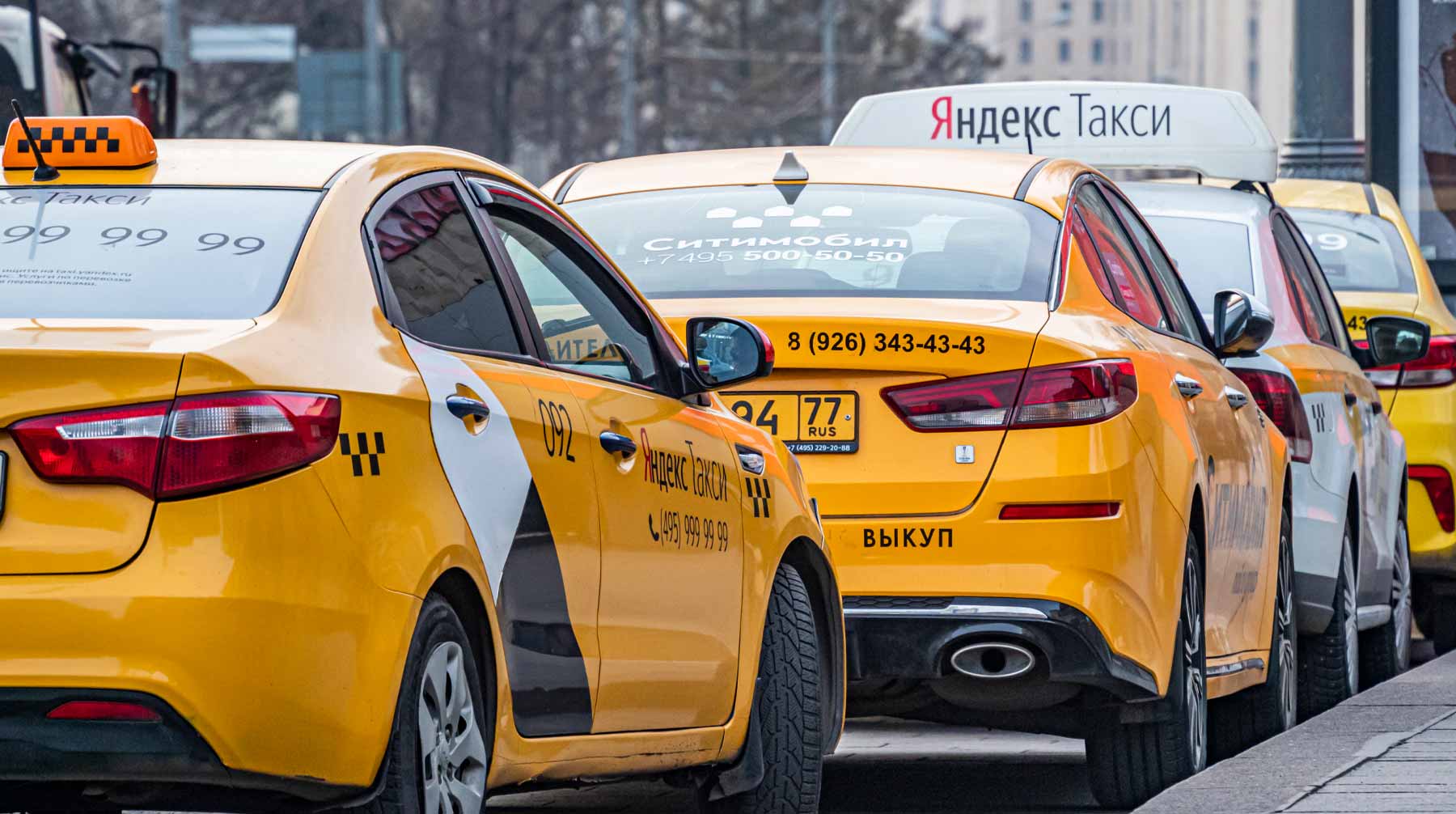 Ранее сообщалось, что таксист не смог считать QR-код цифрового пропуска девушки, вышвырнул ее из машины и избил Фото: © Global Look Press / Konstantin Kokoshkin