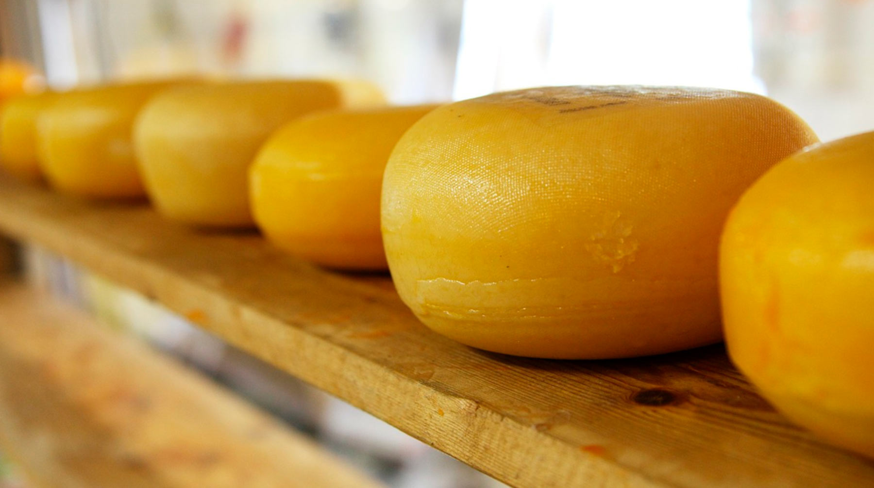 Для высококачественного сыра годится далеко не всякое молоко, отметили эксперты Фото: © pixabay.com