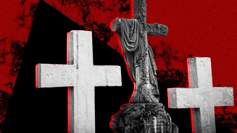 Ритуальные войны в восточном Подмосковье. В период коронавируса похоронные компании устроили борьбу за доступ к кладбищам — Daily Storm