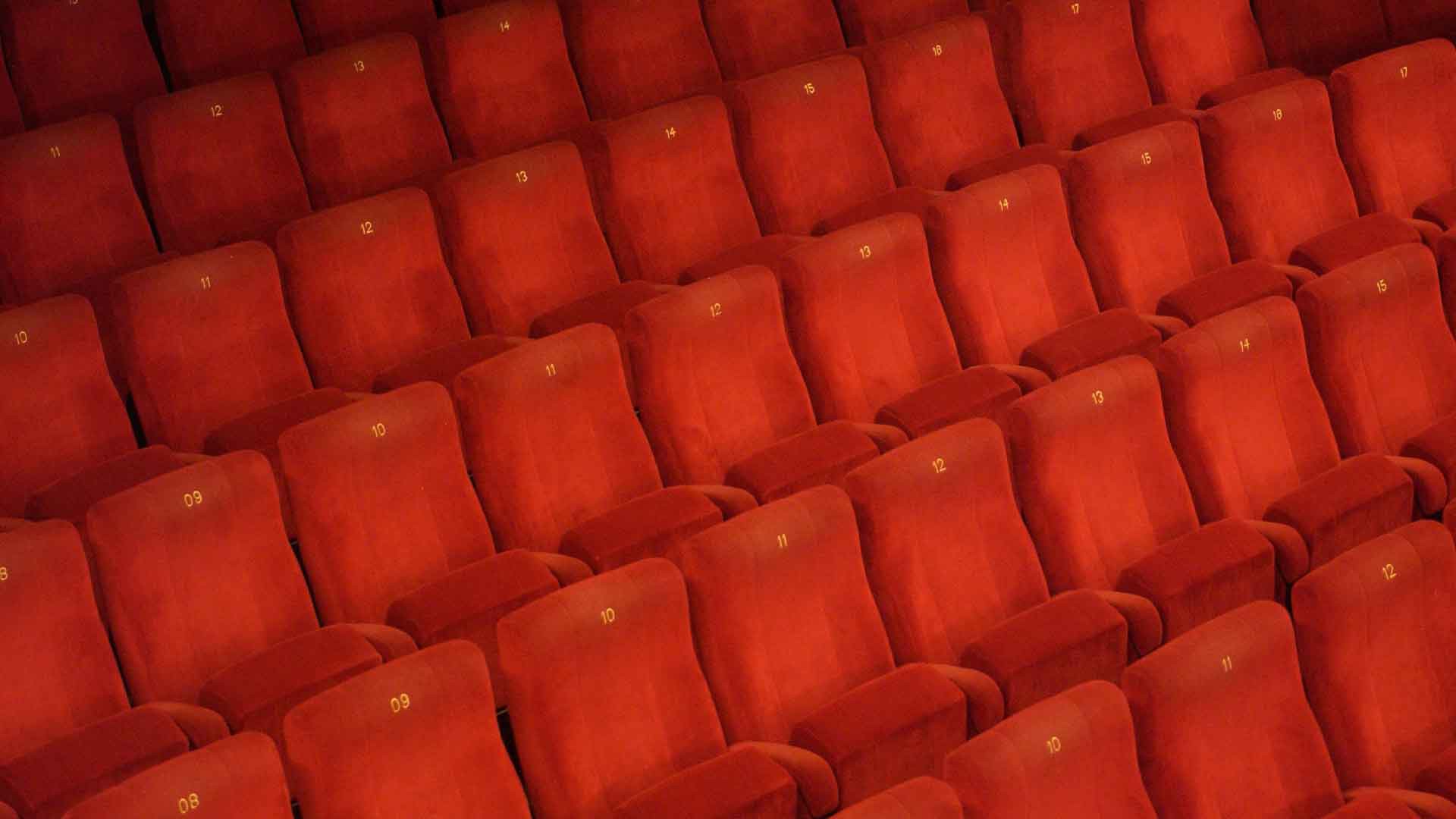Dailystorm - Роспотребнадзор рассказал, как будут работать кинотеатры