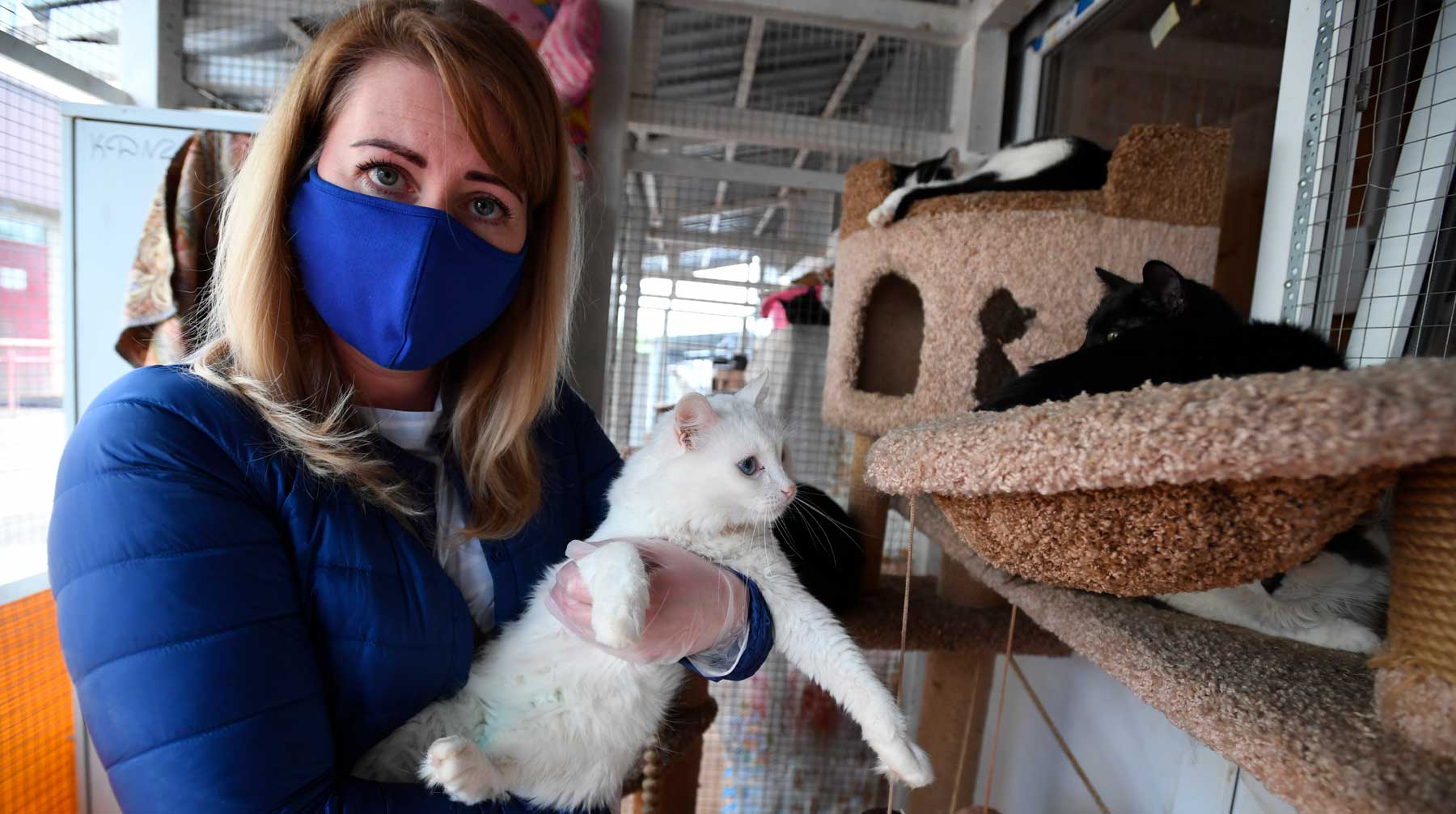 Заболеть могут кошки, собаки, норки, хорьки, свиньи, куры и утки, предупредили в ведомстве Фото: © Global Look Press / Komsomolskaya Pravda