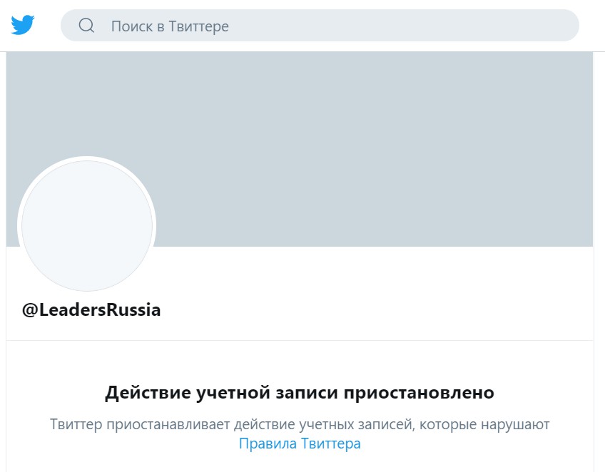 Скриншот Твиттер Лидеры России