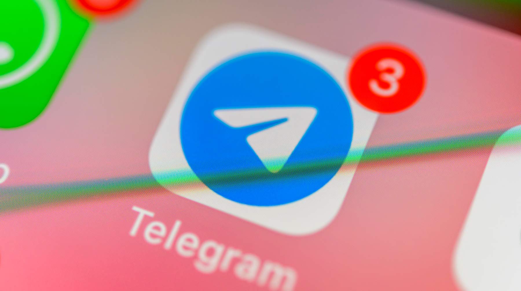 Dailystorm - Правозащитники признали политзаключенным администратора Telegram-канала «Беларусь головного мозга»
