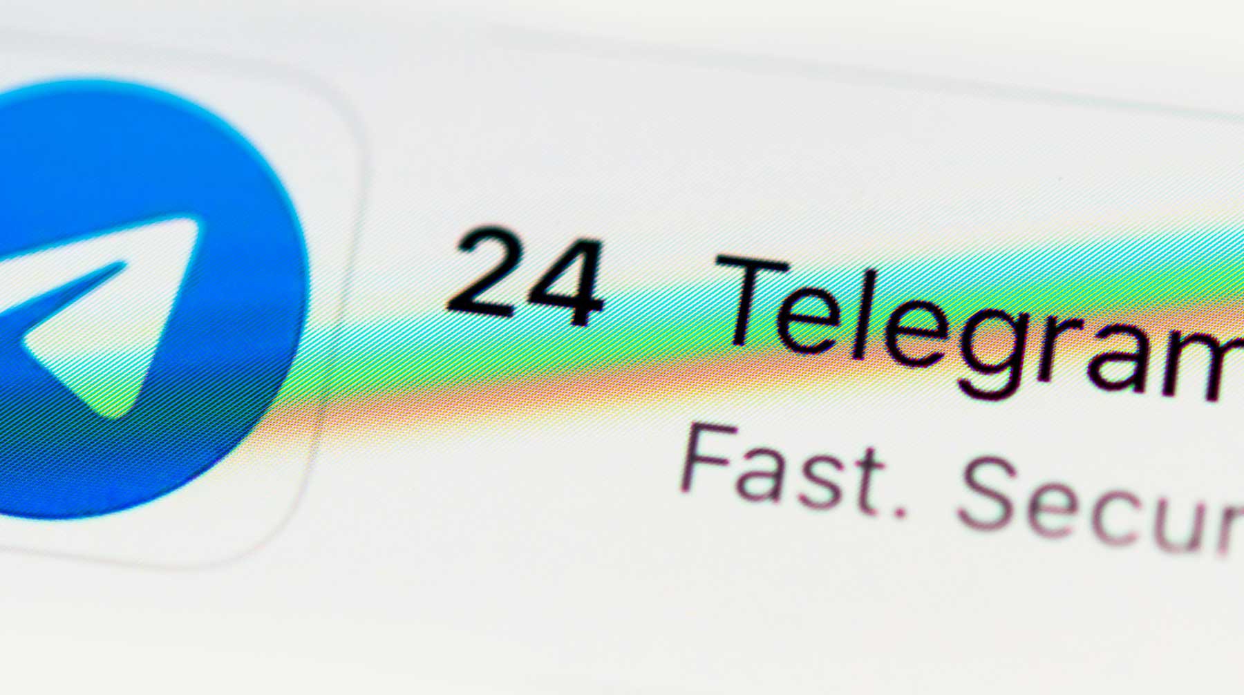 Dailystorm - В Германии Telegram назвали главным мессенджером неофашистов
