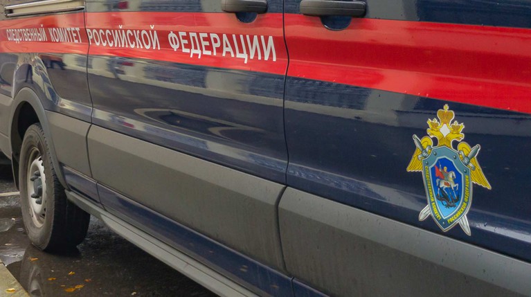 Под Новосибирском восьмиклассника заподозрили в убийстве учительницы — Daily Storm