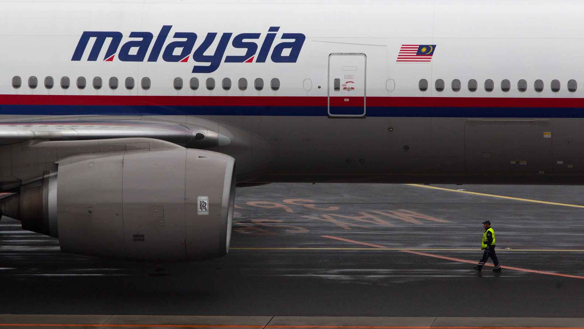 Dailystorm - Свидетель крушения MH17 выразил готовность рассказать об увиденных им военных самолетах