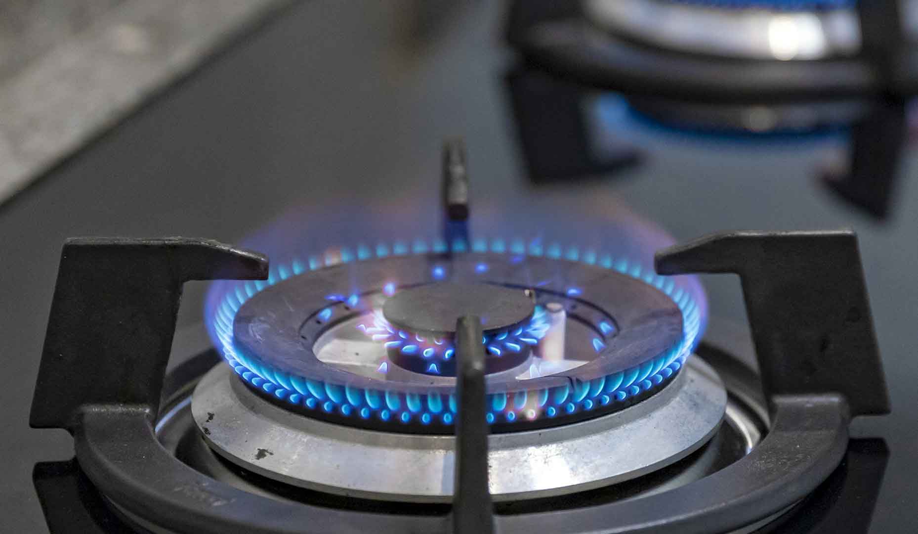 Dailystorm - Единороссы предложат подключать россиян к газу за счет «Газпрома»