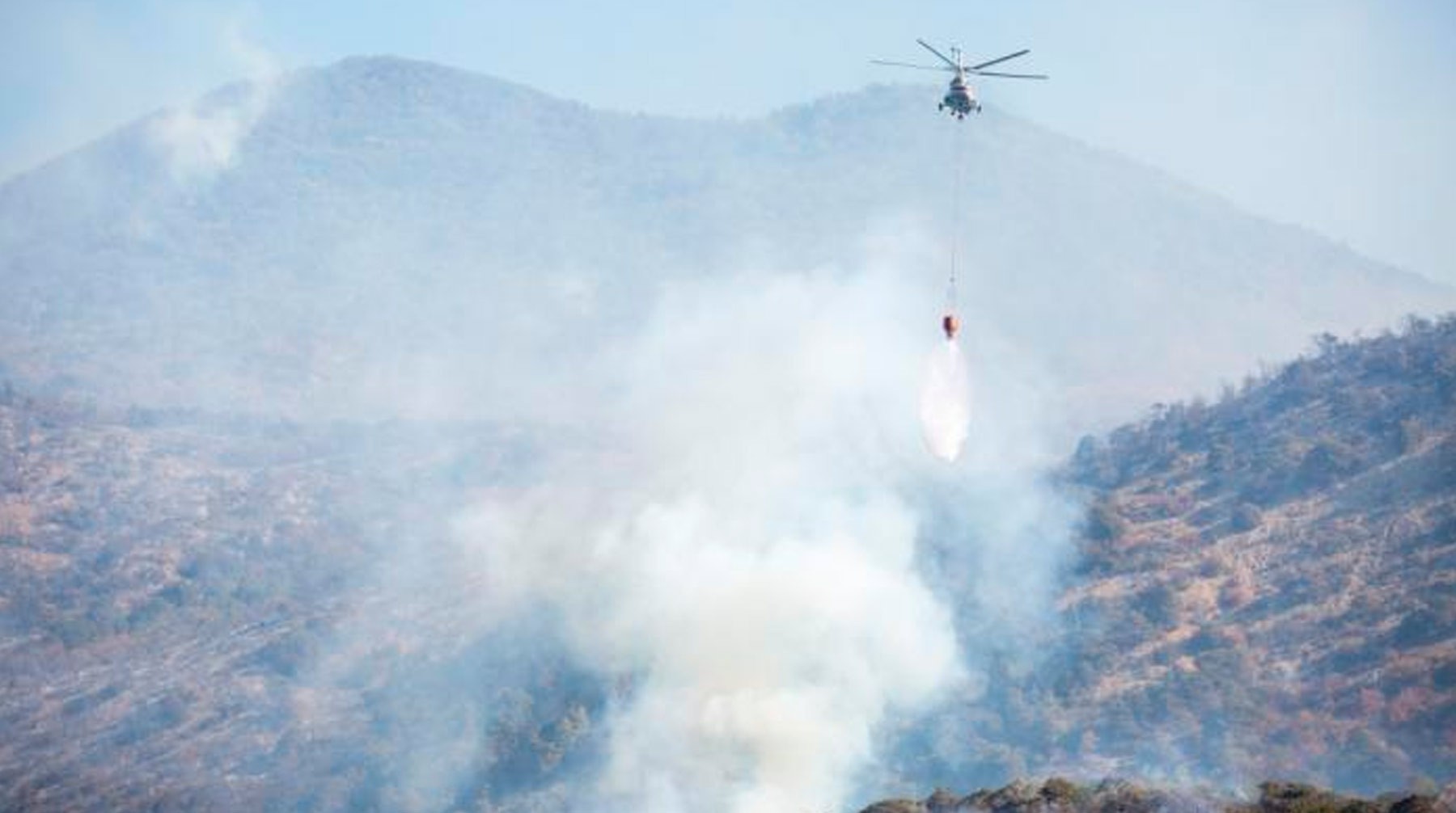 Крупный пожар в заповеднике под Анапой тушат с помощью вертолетов, самолетов и катеров