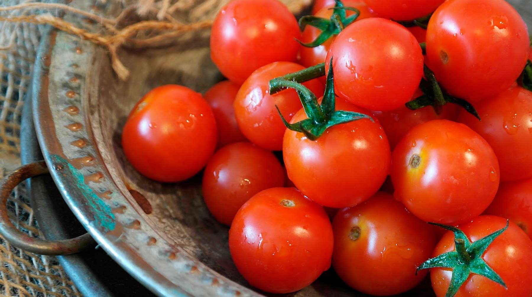Dailystorm - Фермеры научили выбирать помидоры