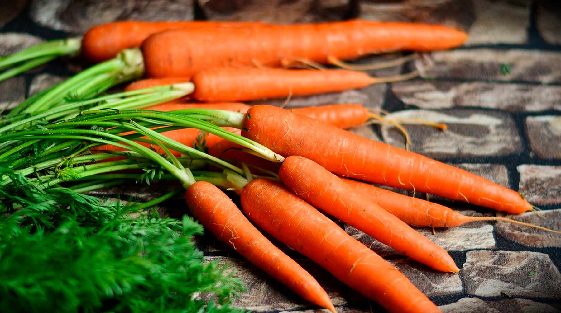 Dailystorm - Пять интересных фактов о моркови