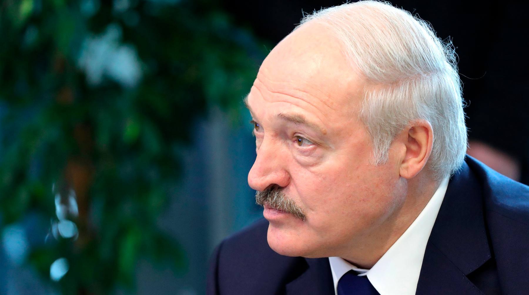 Dailystorm - Лукашенко намерен провести референдум и досрочные выборы до 2022 года