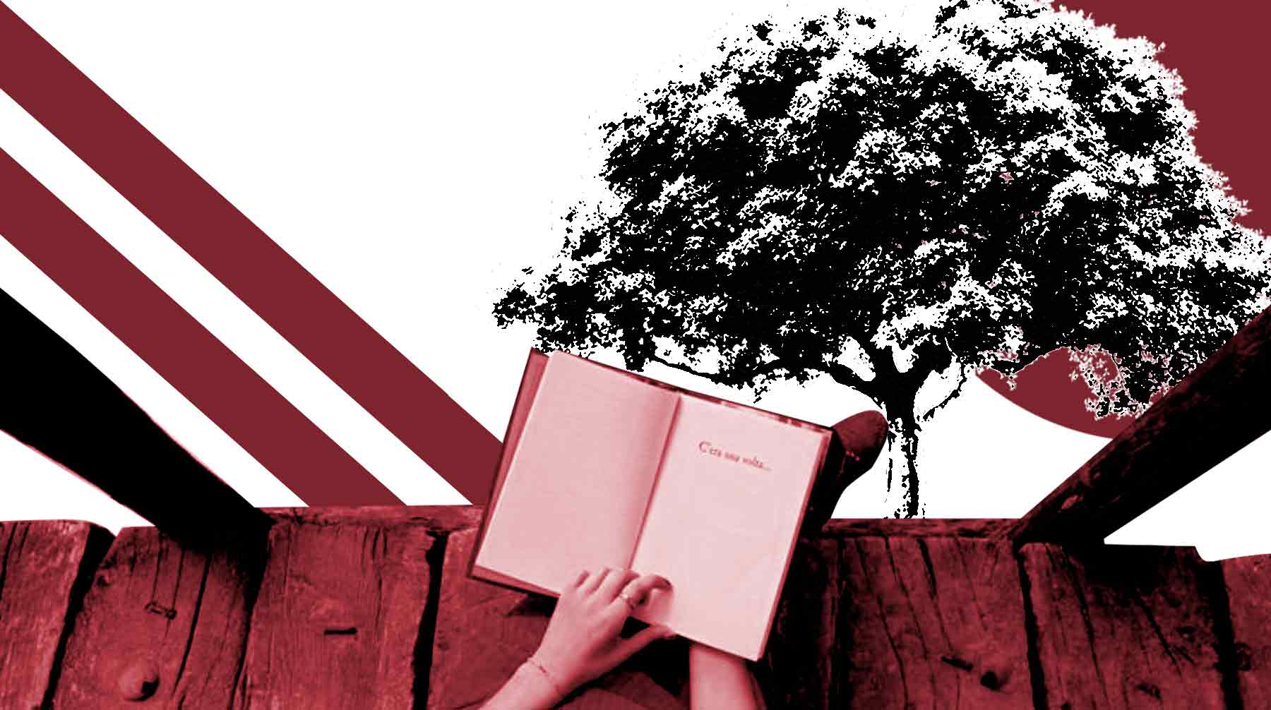 Развеиваем миф о не читающей молодежи Коллаж: © Daily Storm