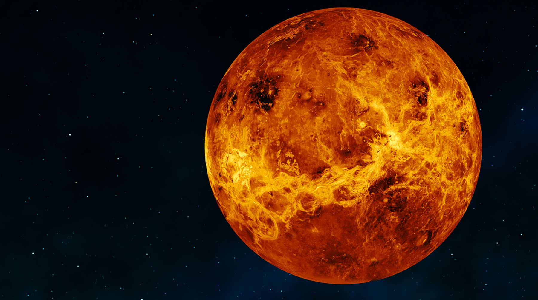 Dailystorm - В РАН оценили предположение западных ученых о жизни на Венере