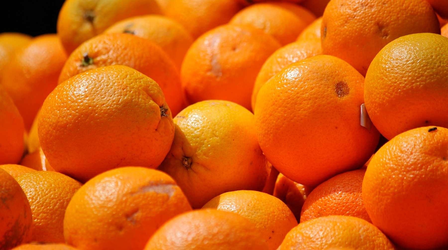Dailystorm - Фермеры научили использовать кожуру апельсина и медную проволоку