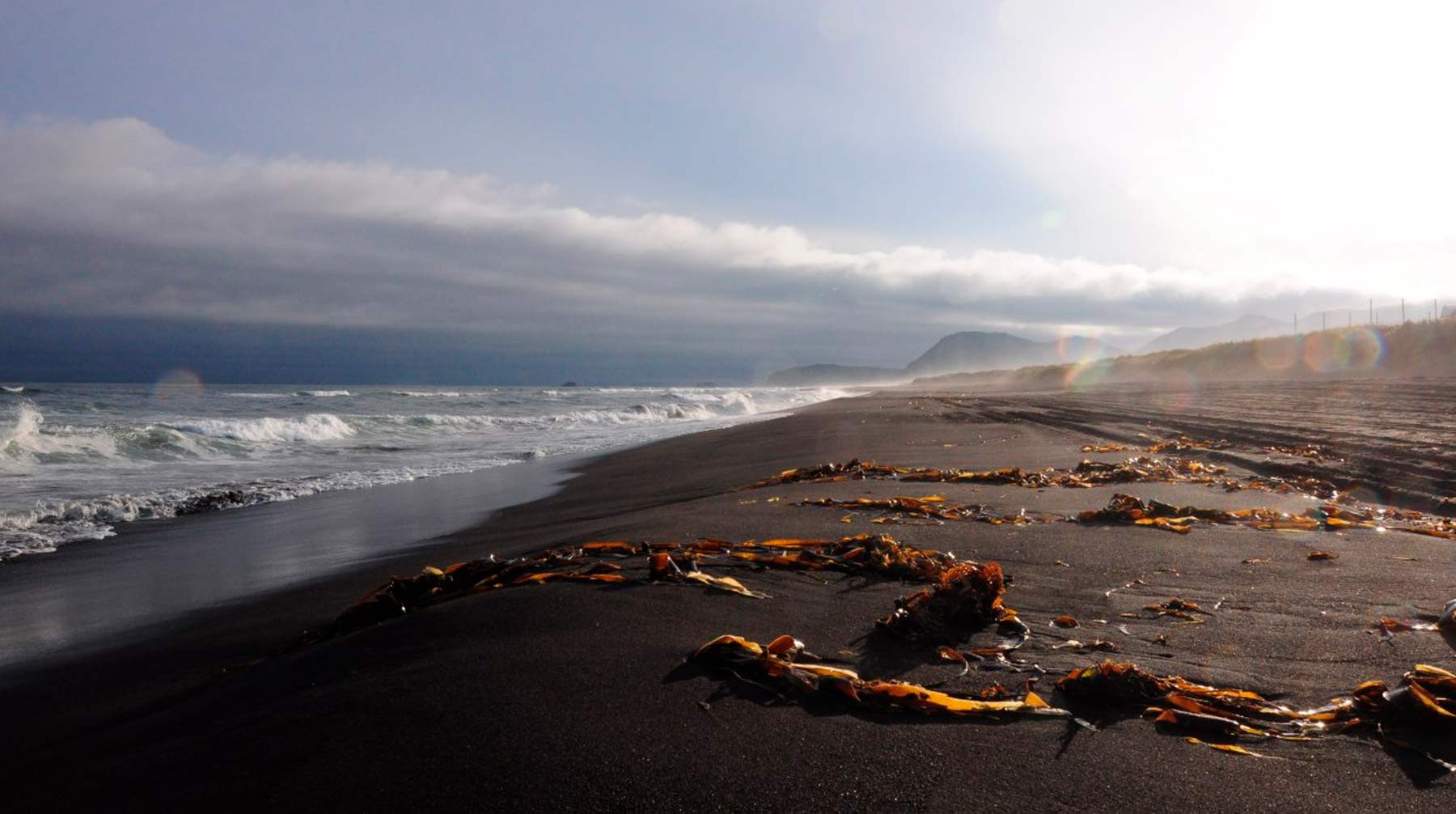 Dailystorm - Как сейчас выглядит Халактырский пляж: опубликованы фото с берегов Камчатки