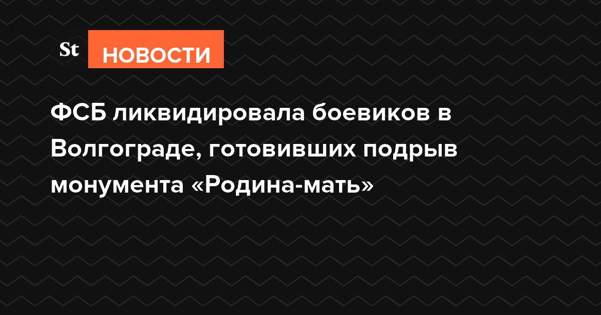 ФСБ ликвидировала боевиков в Волгограде, готовивших подрыв монумента «Родина-мать»