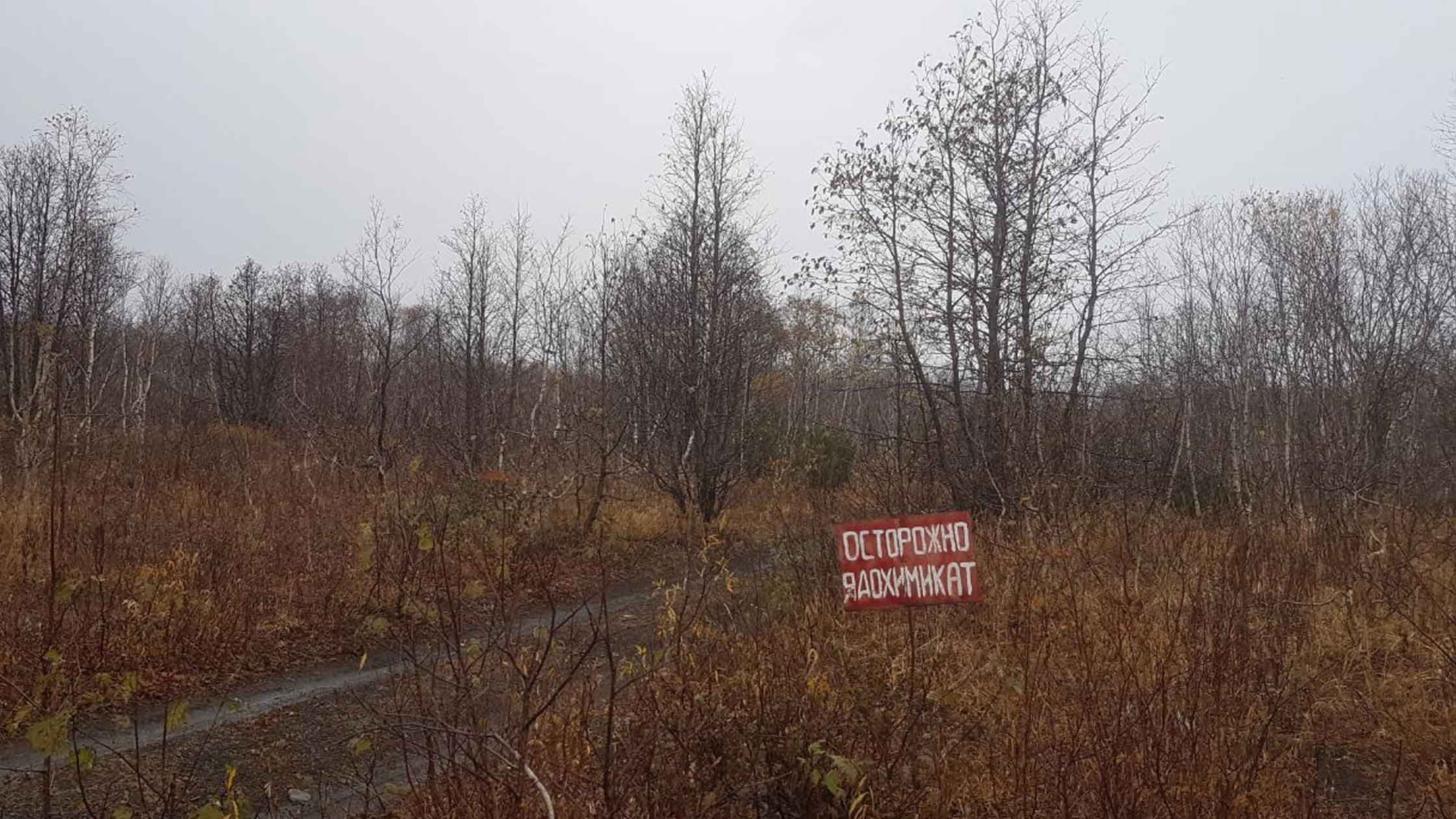 СКР не нашел доказательств техногенной экологической катастрофы на Камчатке