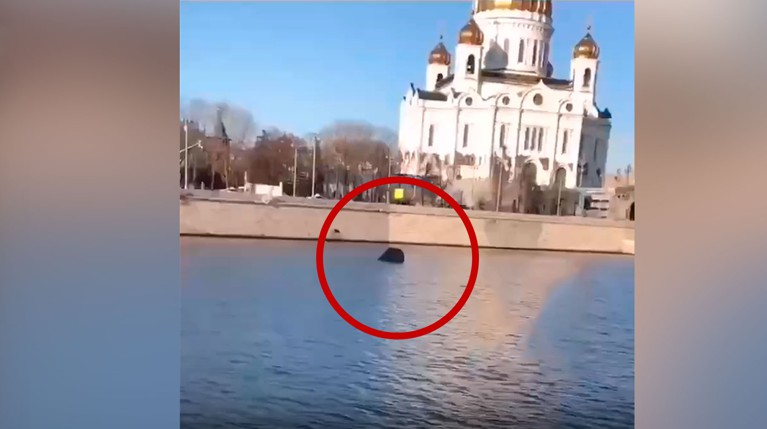Водителю не удалось выбраться из машины, его тело извлекли из воды спасатели Фото: © Вконтакте / ДТП и ЧП | Москва и МО Онлайн | МСК