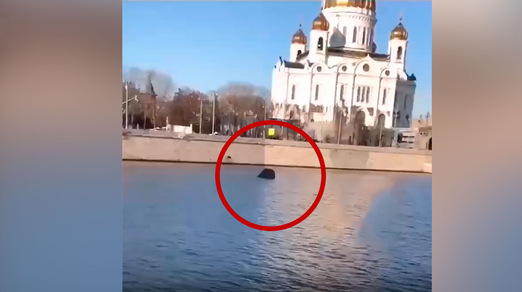 Dailystorm - Раскрыты подробности о внедорожнике, утонувшем в Москве-реке напротив храма Христа Спасителя