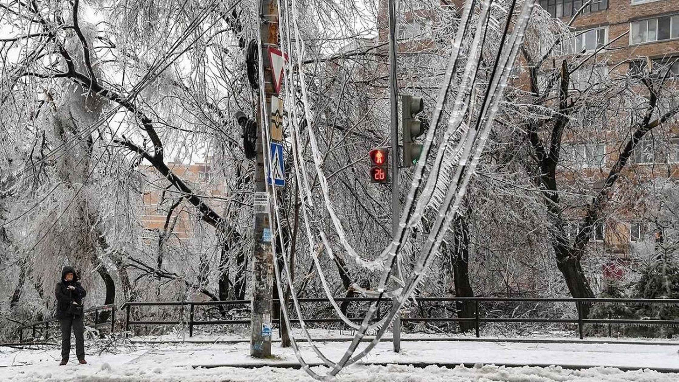 Dailystorm - Ущерб от снежного циклона в Приморье превысил 250 миллионов рублей