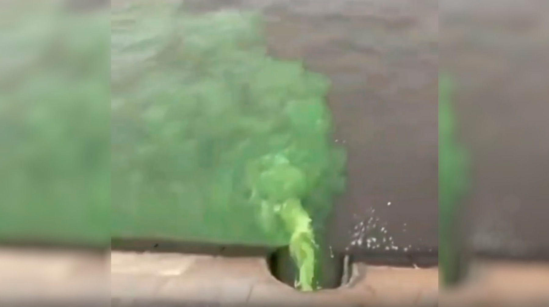 Цветная пена покрыла около двух километров поверхности воды Фото: © кадр из видео