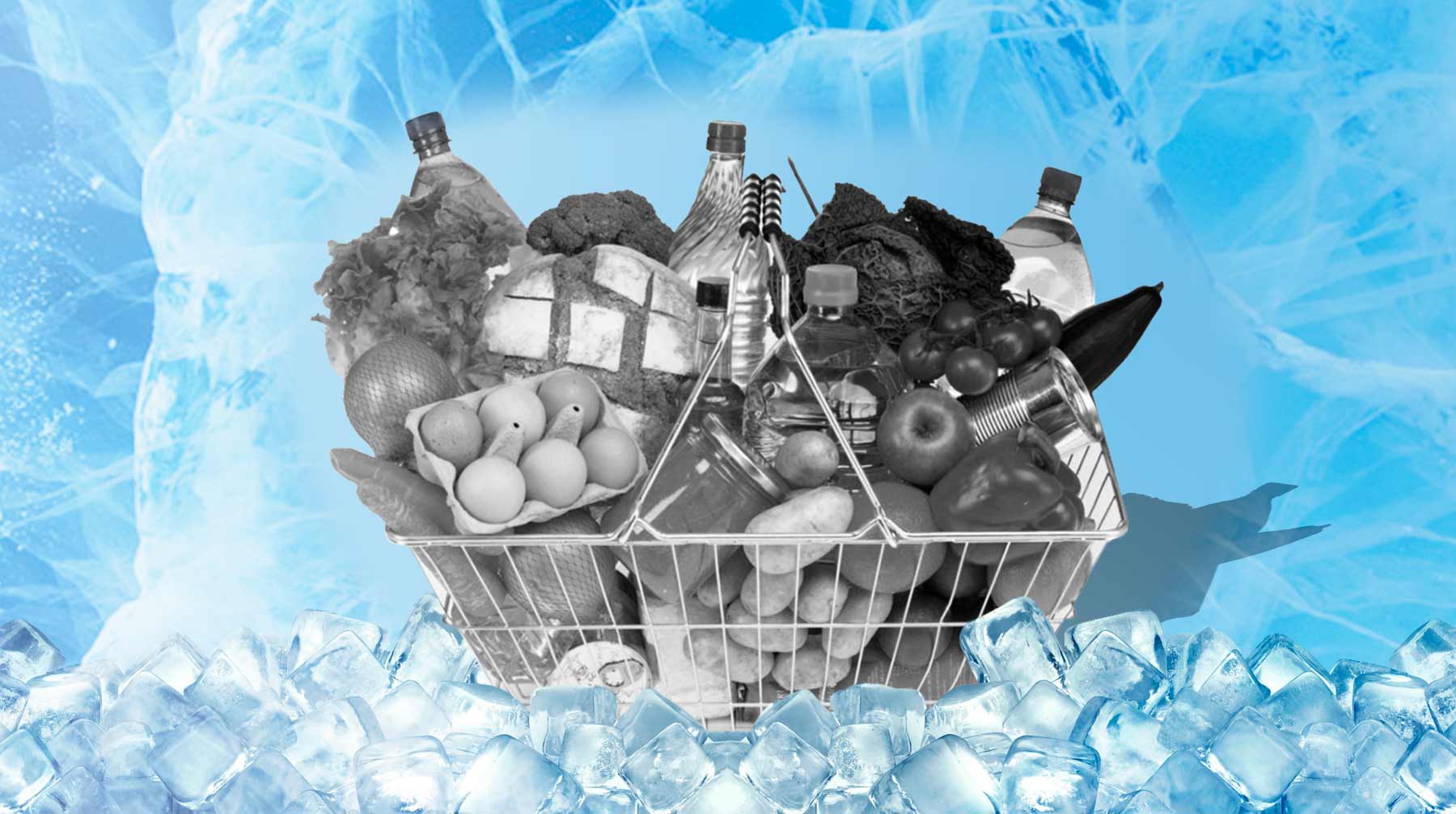 Dailystorm - Удар по ценам: чем может обернуться «заморозка» для магазинов и покупателей