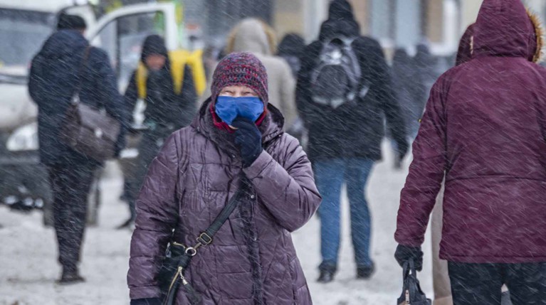 В России за сутки снова возросло число пациентов с COVID-19 — Daily Storm