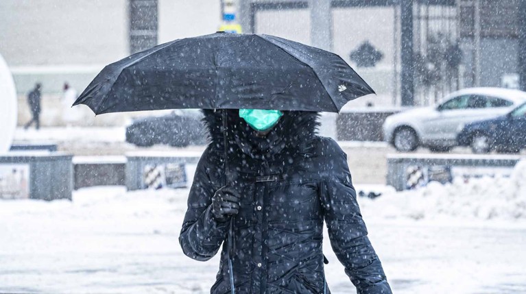 В России за сутки выявили минимум жертв COVID-19 с конца ноября 2020 года — Daily Storm