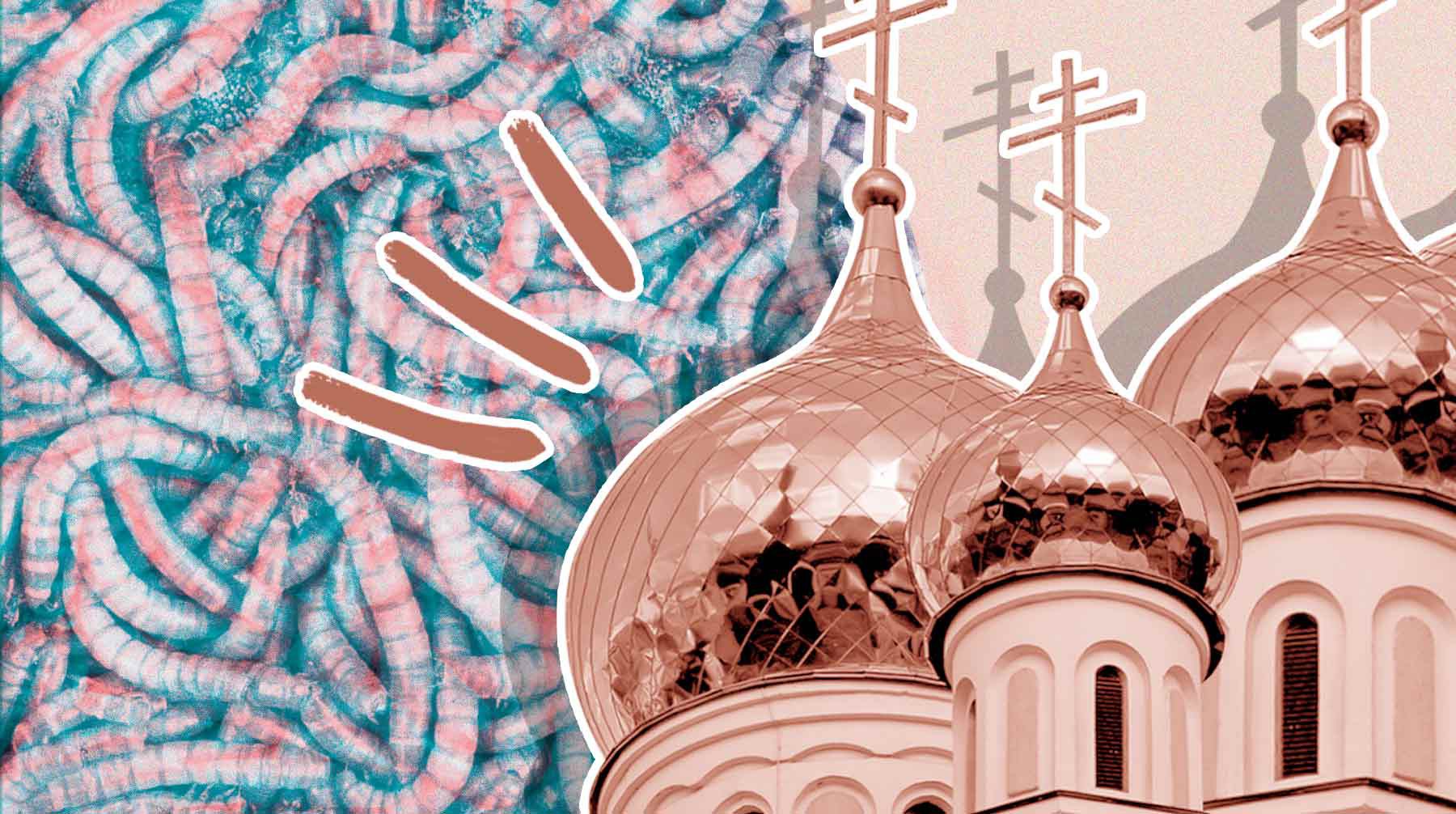 Dailystorm - В РПЦ не увидели греха в употреблении червей