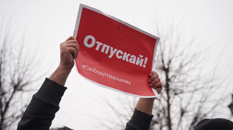 Представители Хельсинкской группы будут на заседании суда по Навальному — Daily Storm