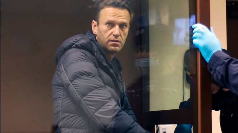 Внук ветерана Артеменко и Навальный устроили перепалку в суде — Daily Storm