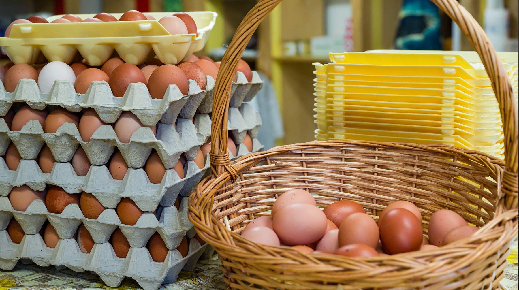 Опознать несвежее яйцо не так сложно, как кажется. Его даже не нужно разбивать Фото: © Global Look Press / Patrick Pleul