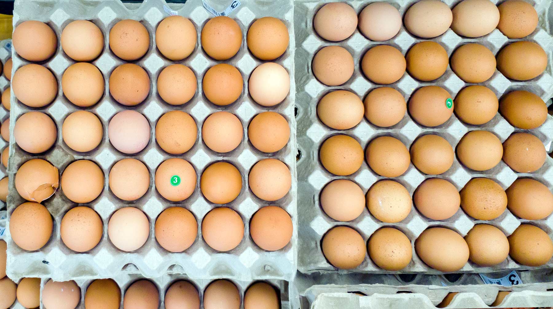 Dailystorm - Производители предупредили о подорожании яиц и мяса птицы