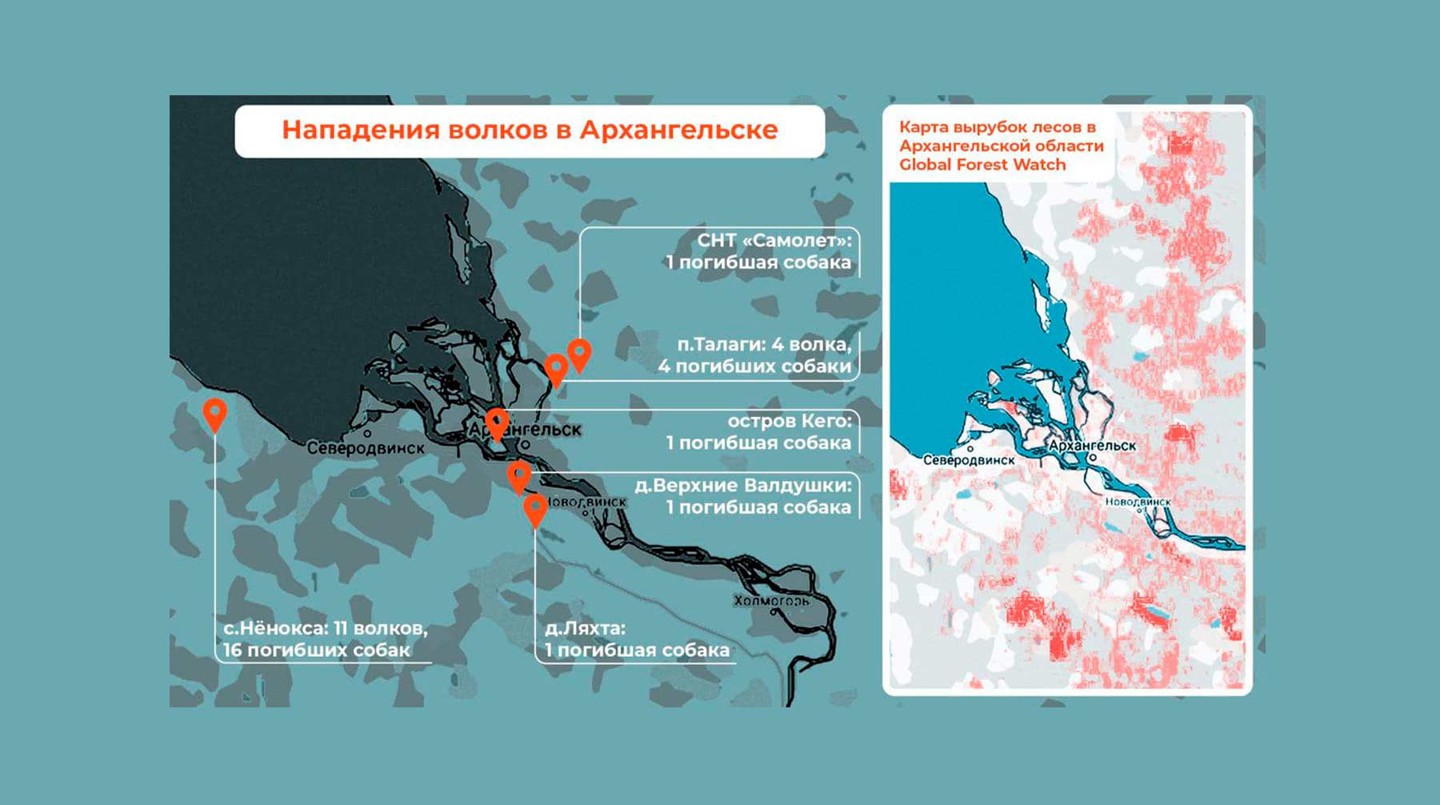 Инфографика: © Daily Storm