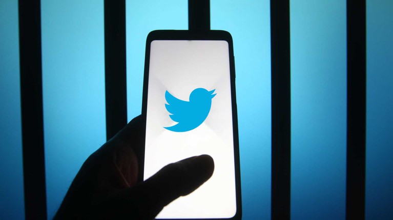 Роскомнадзор замедлит работу Twitter в России — Daily Storm