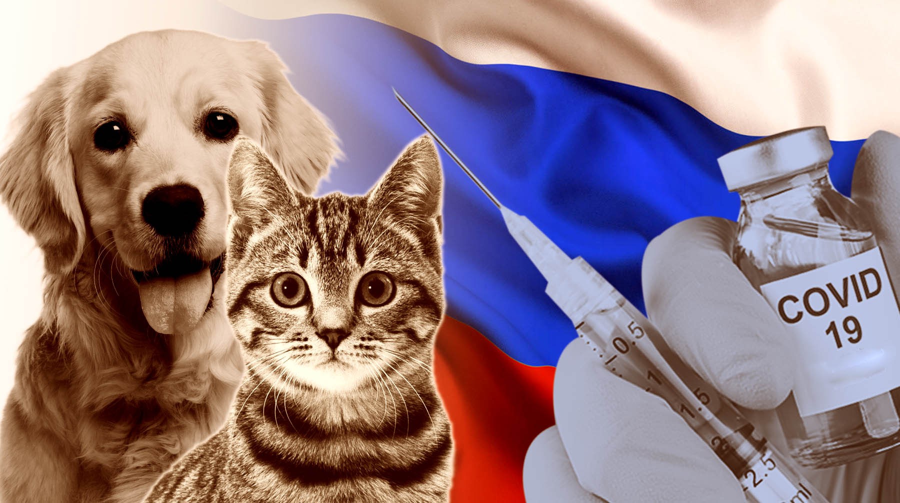 Dailystorm - Россия зарегистрировала первую в мире вакцину от COVID-19 для животных